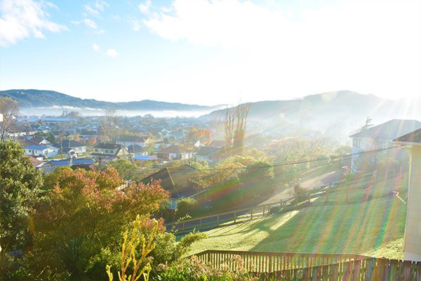 You and Your Property: Lower Hutt Developments