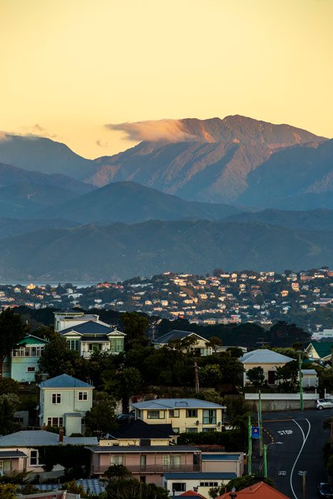 wellington houses with sunset against a hill