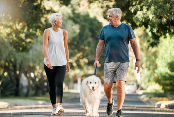 Older couple walking retriever in park